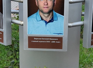 ������ ������� �����